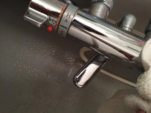 蛇口 クエン酸 完成