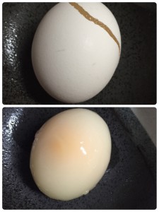 冷凍卵