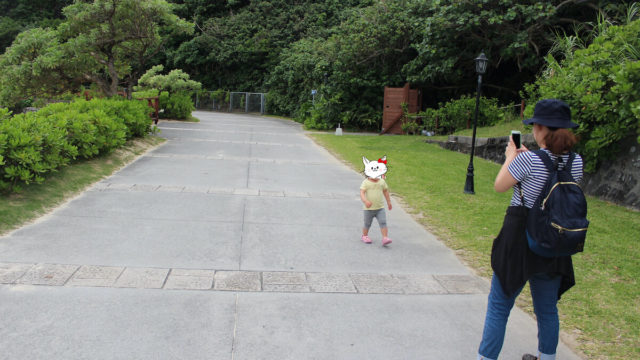 着用画像あり 生後２週間から新生児をエルゴアダプトで抱っこした口コミ 安全性 使用感抜群でコスパも最高 凡人主婦の小金持ち生活