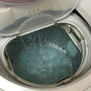 洗濯槽 掃除