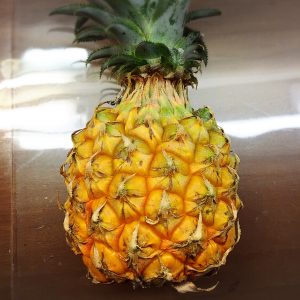 スナックパイン