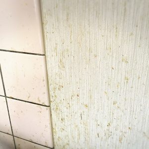 キッチン タイル 油