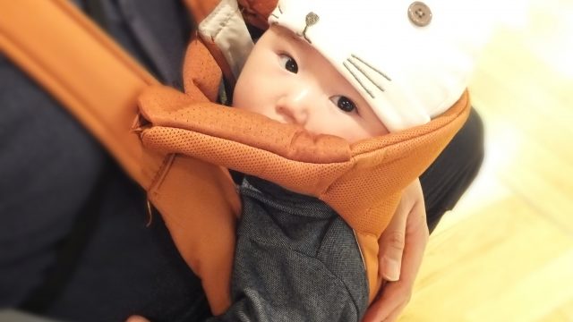 着用画像あり 生後２週間から新生児をエルゴアダプトで抱っこした口コミ 安全性 使用感抜群でコスパも最高 凡人主婦の小金持ち生活